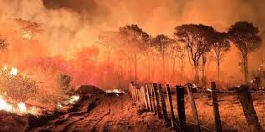 Área queimada no Brasil em 2024 supera média histórica em 62%, revela MapBiomas
