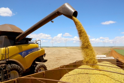 Vazio sanitário da soja passa a valer em todo o Paraná a partir deste sábado